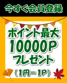 �|�C���g�ł����I